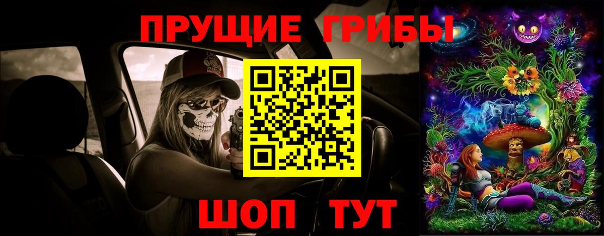 закладки  Псилоцибиновые грибы мицелий  Вход с VPN  Берёзовский 
