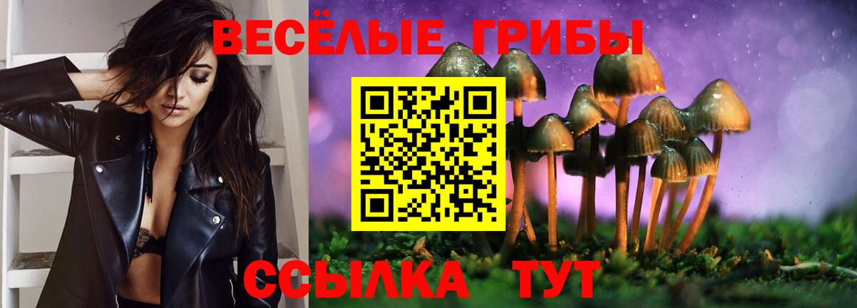 Псилоцибиновые грибы Psilocybe Берёзовский